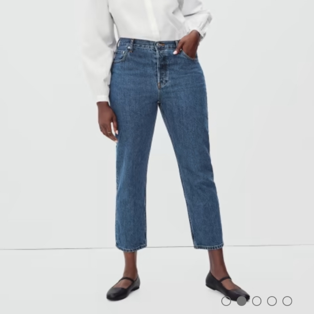 Everlane Nwt size 26 the curvy 90s cheeky straight jean cropped